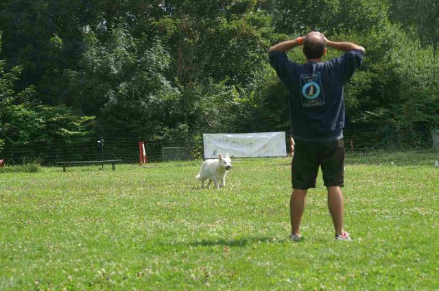 obeissance 2014-08-02